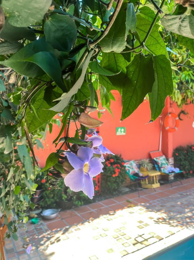 Hotel Casa De Verano - Solo Adultos - Санта Фе де Антиокия Екстериор снимка